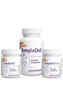 Dolfos AmylaDol 90 Tabletek