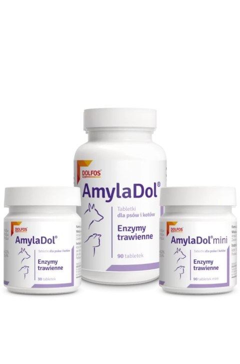 Dolfos AmylaDol 90 Tabletek