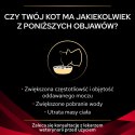 PURINA Pro Plan Veterinary Diets DM Diabetes Management Cat Kurczak 85g