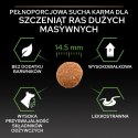 Purina Pro Plan Large Puppy Robust Optistart Kurczak I Ryż 12kg