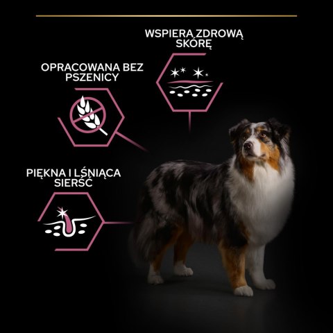 Purina Pro Plan Medium & Large 7+ Sensitive Optiderma Łosoś I Ryż 14kg