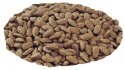 Purina Pro Plan Small & Mini Adult Sensitive Optiderma Łosoś I Ryż 7kg