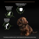 Purina Pro Plan Small & Mini Puppy Optistart Kurczak I Ryż 7kg