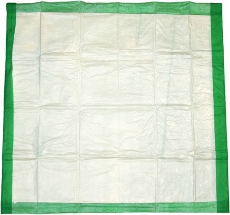 8in1 Mata Absorbująca Training Pads Large Bag 30szt