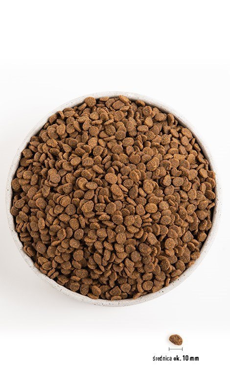 ORIJEN Original Cat 5,4kg
