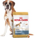 ROYAL CANIN Boxer Adult 12kg