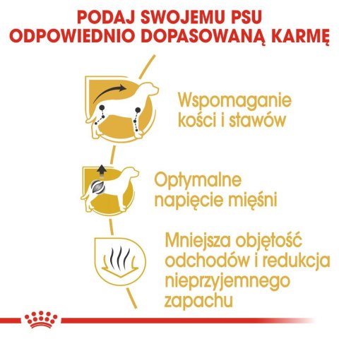 ROYAL CANIN Dachshund Adult 7,5kg