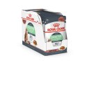 ROYAL CANIN Digest Sensitive 12x85g
