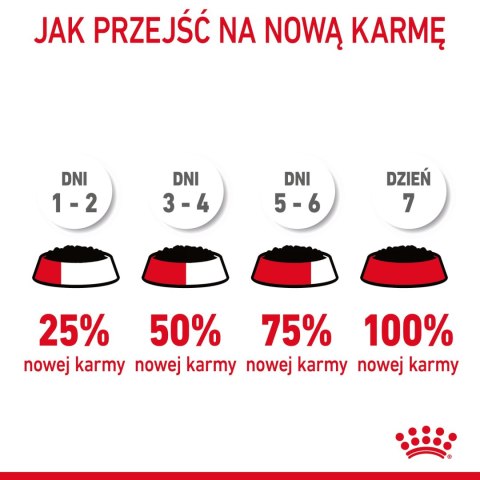 ROYAL CANIN Intense Beauty Gelee 12x85g
