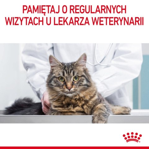 ROYAL CANIN Intense Beauty Gravy 12x85g