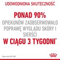 ROYAL CANIN Intense Beauty Gravy 12x85g