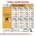 ROYAL CANIN Labrador Retriever Adult 12kg