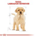 ROYAL CANIN Labrador Retriever Puppy 12kg