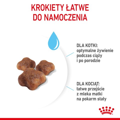 ROYAL CANIN Mother & Babycat 2kg