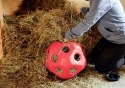 KERBL Piłka Do Zabawy Dla Koni HeuBoy