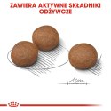 ROYAL CANIN CCN Medium Digestive Care 12kg