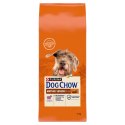PURINA Dog Chow Mature Senior Lamb 14kg