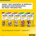 Elanco AdTab 56mg Tabletka Na Pchły I Kleszcze Dla Psów 1,3-2,5kg