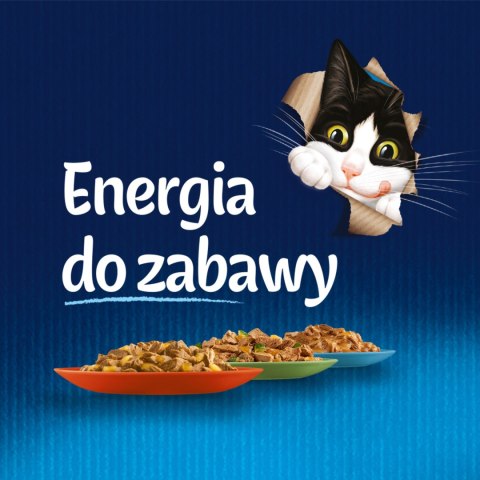 Felix Fantastic Junior W Galaretce Z Kurczakiem I Łososiem 4x85g