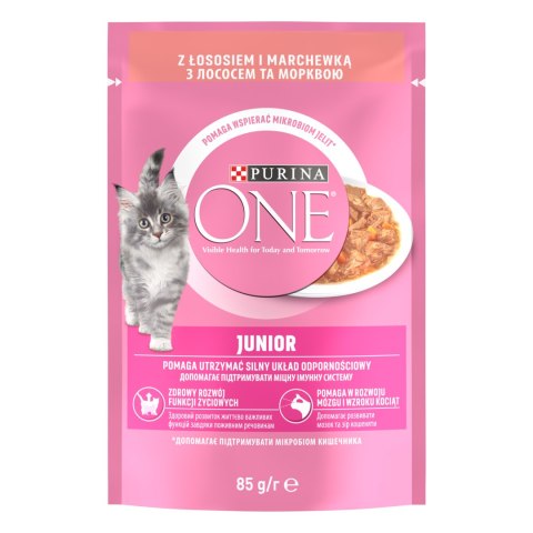 Purina One Junior Karma Dla Kociąt Z Łososiem I Marchewką 85g