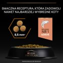 Purina Pro Plan Adult Derma Care Karma Dla Kota Z Łososiem 1,5kg