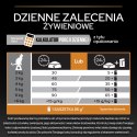 Purina Pro Plan Adult Derma Care Karma Dla Kota Z Łososiem 1,5kg