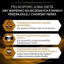 Purina Pro Plan Veterinary Diets NF Renal Function Karma Dla Kota 1,5kg