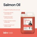 Lab-V Olej Z Łososia 100% Dla Psa I Kota W Każdym Wieku 5000ml Tłoczony Na Zimno