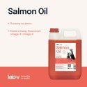 Lab-V Olej Z Łososia 100% Dla Psa I Kota W Każdym Wieku 5000ml Tłoczony Na Zimno