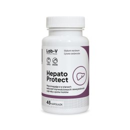 Lab-v Hepato Protect Wspomaganie Funkcji Wątroby Dla Psów I Kotów 45 Kapsułek