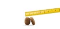Osera Adult Optiness 12,5kg