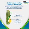 Purina Dentalife Activefresh Przysmak Dla Psa 142g 4 Sztuki
