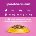 Whiskas Adult Karma Sucha Dla Kotów Kurczak 1,4kg