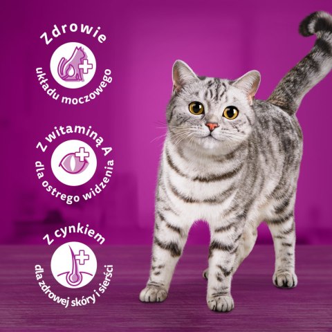 Whiskas Adult Karma Sucha Dla Kotów Kurczak 1,4kg