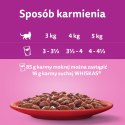 Whiskas Adult Klasyczne Posiłki W Sosie Dla Kota 40x85g