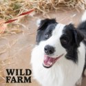 Wild Farm Kanapka Z Kaczką 500g Przysmak Dla Psa