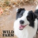Wild Farm Racice Jagnięce Przysmak Dla Psa 300g