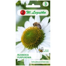 Jeżówka biała - rudbekia purpurowa