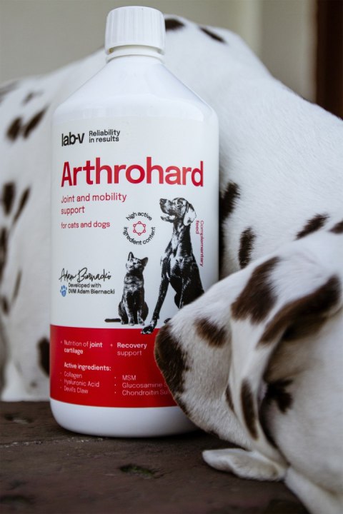 LAB-V Arthrohard Preparat Na Wsparcie Stawów Dla Psa I Kota 1000 Ml