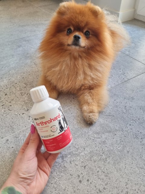 LAB-V Arthrohard Preparat Na Wsparcie Stawów Dla Psa I Kota 1000 Ml