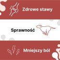 LAB-V Arthrohard Preparat Na Wsparcie Stawów Dla Psa I Kota 1000 Ml