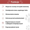 LAB-V Arthrohard Preparat Na Wsparcie Stawów Dla Psa I Kota 1000 Ml