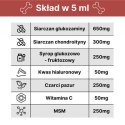 LAB-V Arthrohard Preparat Na Wsparcie Stawów Dla Psa I Kota 1000 Ml
