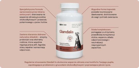 Lab-v Glandala Wsparcie Gruczołów Okołoodbytowych i Przewodu Pokarmowego 90 Kapsułek
