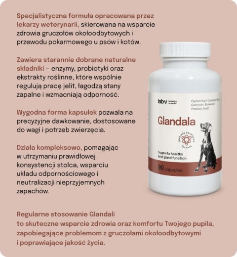 Lab-v Glandala Wsparcie Gruczołów Okołoodbytowych i Przewodu Pokarmowego 90 Kapsułek
