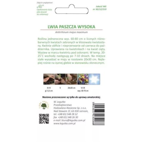 Lwia paszcza (wyżlin) wysoka - barwna mieszanka