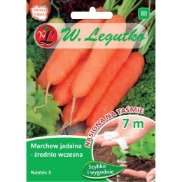 Marchew jadalna 'Nantes 3' (Nantejska) - średnio wczesna
