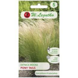 Nasiona ostnicy mocnej 'Pony Tails' (Stipa tenuissima) - zielona, 0,05 g