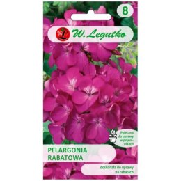 Pelargonia rabatowa 'Gama F1' - kwiaty fioletowe