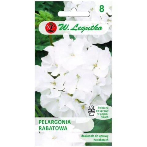 Pelargonia rabatowa biała 'Gama F1'
